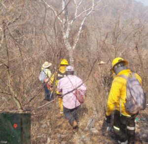 estado incendio cerro gordo (1)