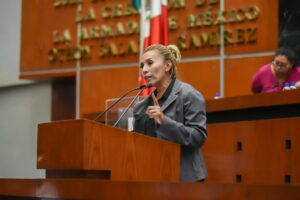 CONGRESO ARACELI OCAMPO