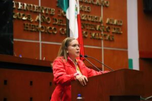 CONGRESO LETICIA MOSSO