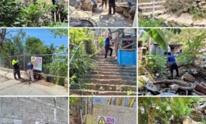 ESTADO ACAPULCO ZONAS DE RIESGO