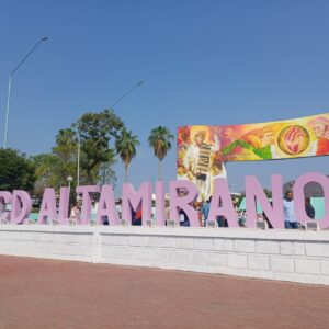 ESTADO CIUDAD ALTAMIRANO