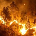 Afectan 9 incendios forestales activos a Guerrero