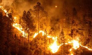 ESTADO INCENDIOS ACTIVOS