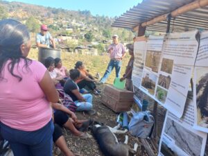 ESTADO SAGADEGRO QUEMAS (1)