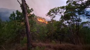 ILIATENCO EL INCENDIO (4)