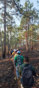 ILIATENCO SOFOCAN INCENDIO (2)