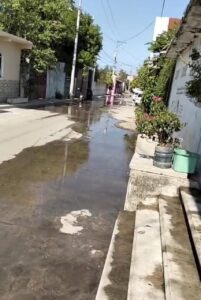 MARQUELIA DESPERDICIAN AGUA
