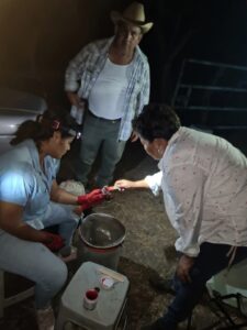 Marquelia.- Ganaderos piden campaña contra rabia paralítica