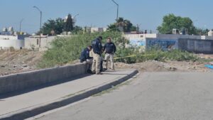 ROJA LA MATAN A GOLPES