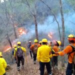 Sofocan incendio forestal en Camalotillo
