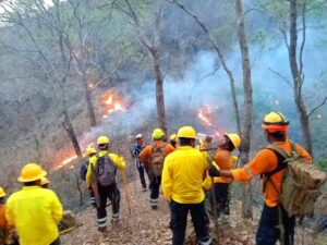 SAN LUIS COMBATE CONTRA INCENDIO (1)