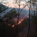 Más de 10 hectáreas de pastizales consumidos por fuego en Nejapa