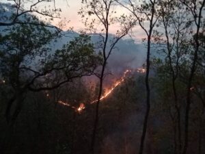 SAN LUIS EL INCENDIO