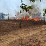 Se registra incendio en predio de la colonia San Luisito