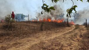 SAN LUIS INCENDIO EN SAN LUISITO (1)