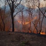 Incendios continúan afectando comunidades de San Luis Acatlán