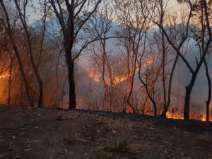 SAN LUIS INCENDIOS (1)