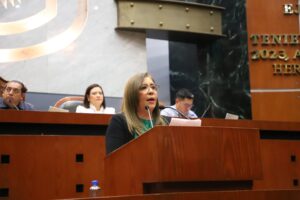 congreso Leticia Mosso Hernández