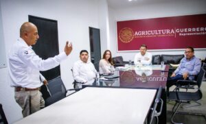 estado gusano barrenador