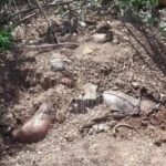 Encuentran un cuerpo semienterrado en La Unión