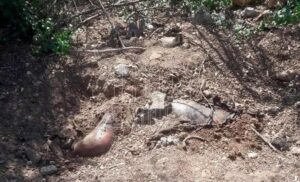 roja la fosa clandestina