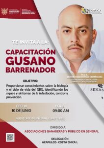 BOLETÍN CUAUTEPEC