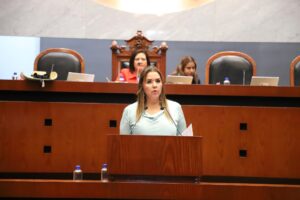 CONGRESO ERIKA LORENA LÜHRS