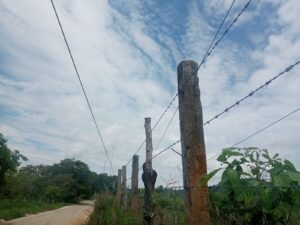 OME LOS CABLES (1)