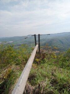 OME LOS POSTES CAÍDOS (1)