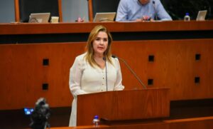 congreso ericka luhrs cortes