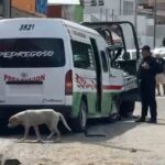 roja primeros respondientes