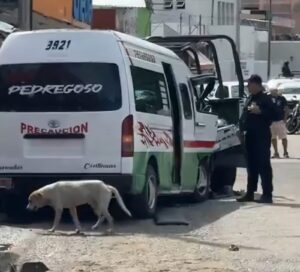 roja primeros respondientes