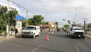 roja sinaloa
