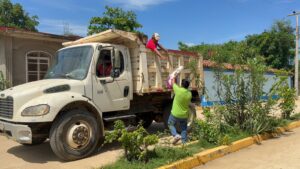 BOLETÍN CUAUTEPEC DESCACHARRIZACIÓN (1)