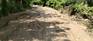 COPALA EL ESTADO DE LA CARRETERA (1)