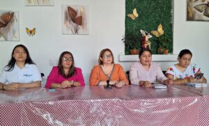 estado activistas y defensoras