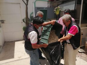estado trituración (1)