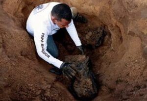 roja colonia las agujas