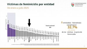 boletin evelyn grafica