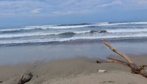 estado mar de fondo
