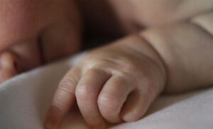 roja buscan restos de 800 bebes