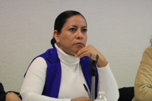 estado irene montiel