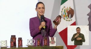 estado presentacion (1)