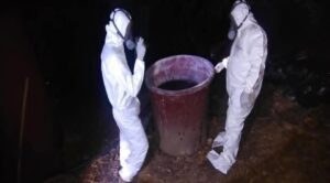 roja el laboratorio (4)