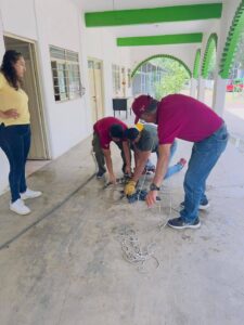 ESTADO ENTREGA DEL COCODRILO (3)