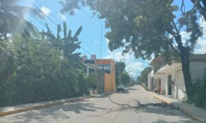 SAN LUIS EL CABLE CAÍDO (2)
