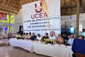 estado comerciantes establecidos de acapulco (3)