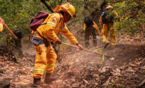 estado guerrero incendios
