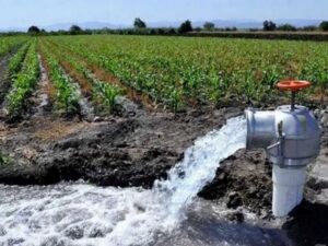 ESTADO AGUA CONCESIONADA