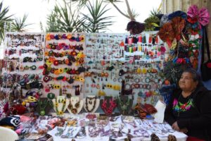 ESTADO EXPO NAVIDEÑA (3)